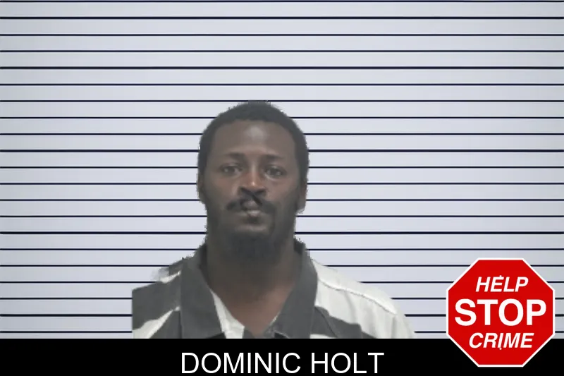 Dominic Holt mugshot