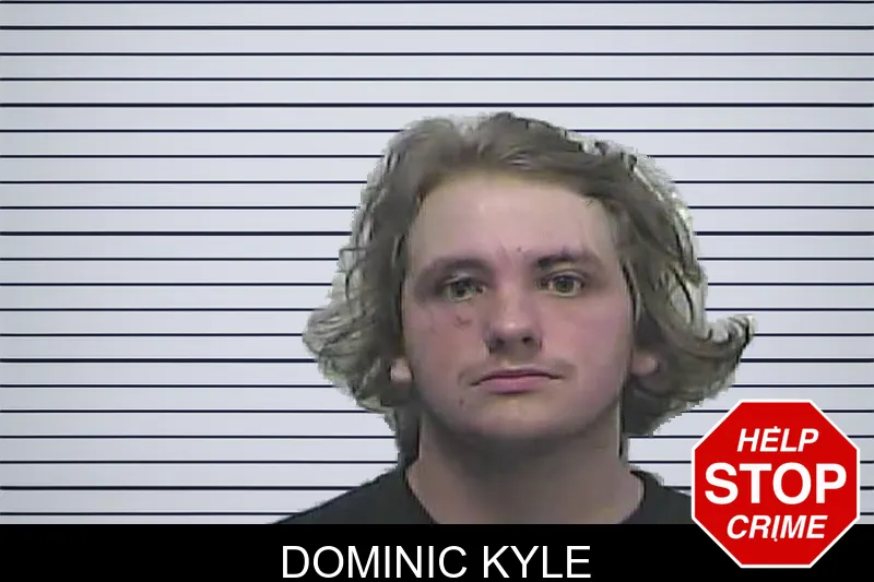 Dominic Kyle mugshot
