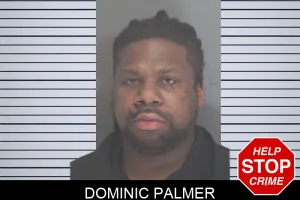 Dominic Palmer mugshot