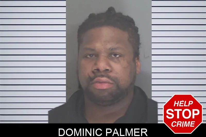 Dominic Palmer mugshot
