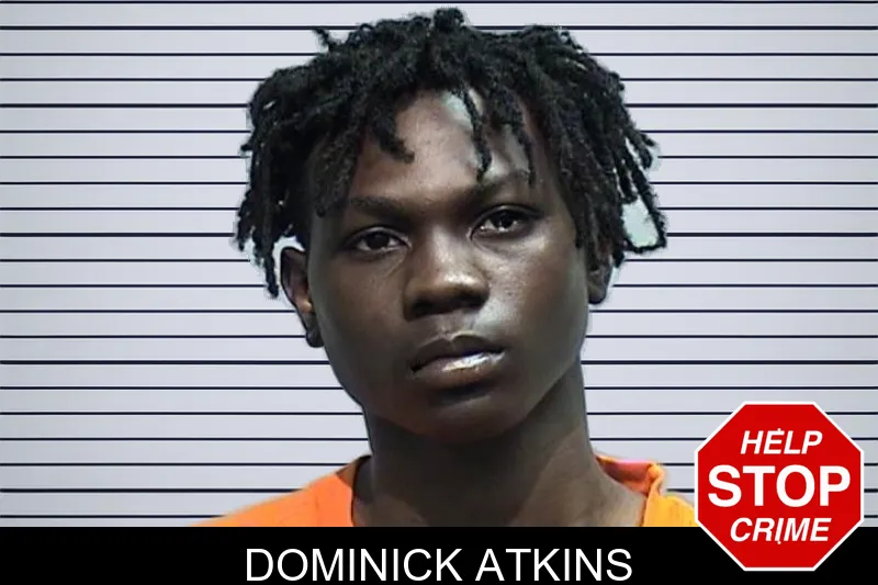 Dominick Atkins mugshot