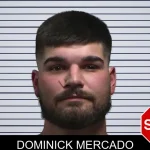 Dominick Mercado mugshot