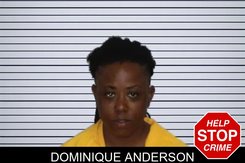 Dominique Anderson mugshot
