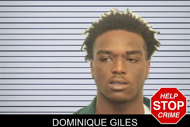 Dominique Giles mugshot – Chatham County , Georgia Dominique Giles mugshot