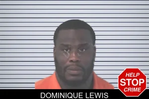 Dominique Lewis mugshot