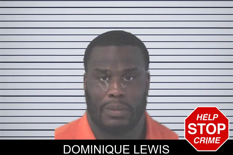 Dominique Lewis mugshot – Newton County , Georgia Dominique Lewis mugshot