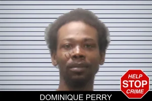 Dominique Perry mugshot