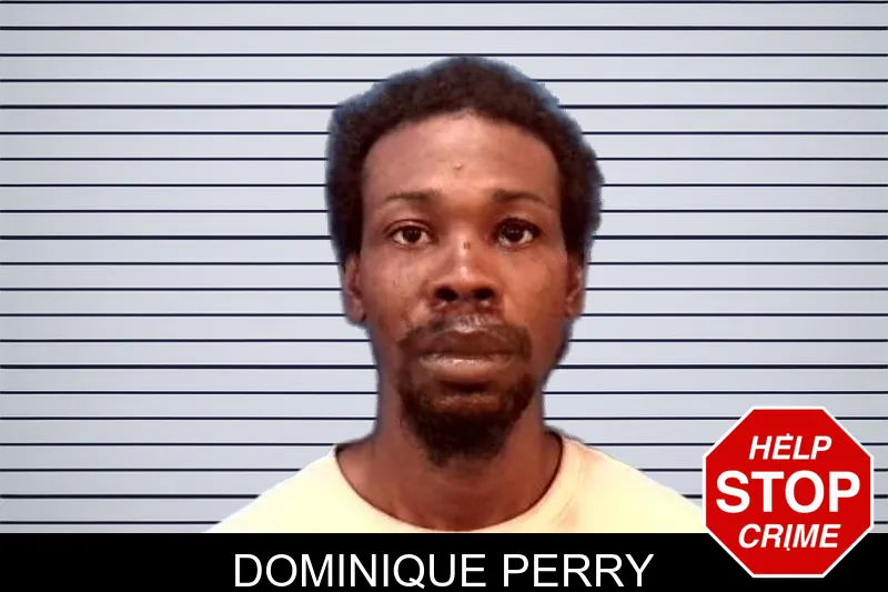 Dominique Perry mugshot
