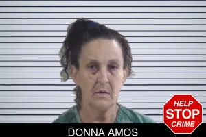 Donna Amos mugshot