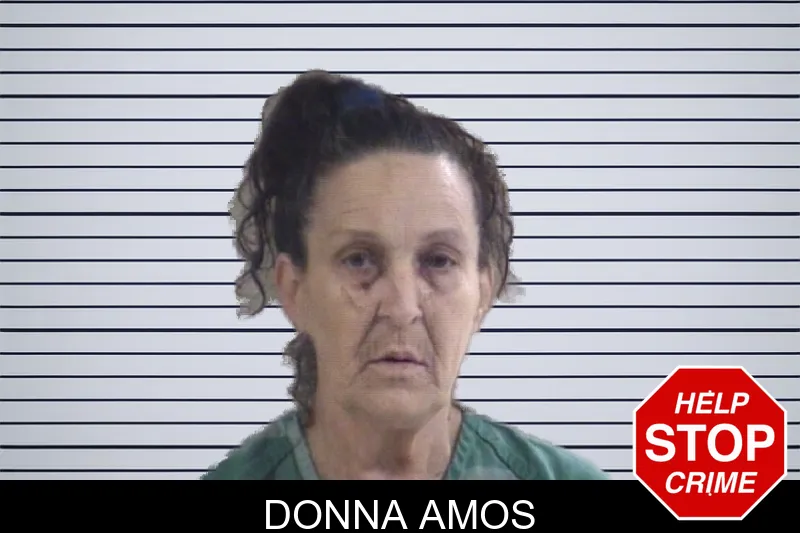 Donna Amos mugshot – Whitfield County , Georgia Donna Amos mugshot