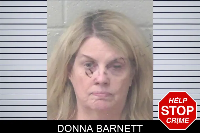 Donna Barnett mugshot