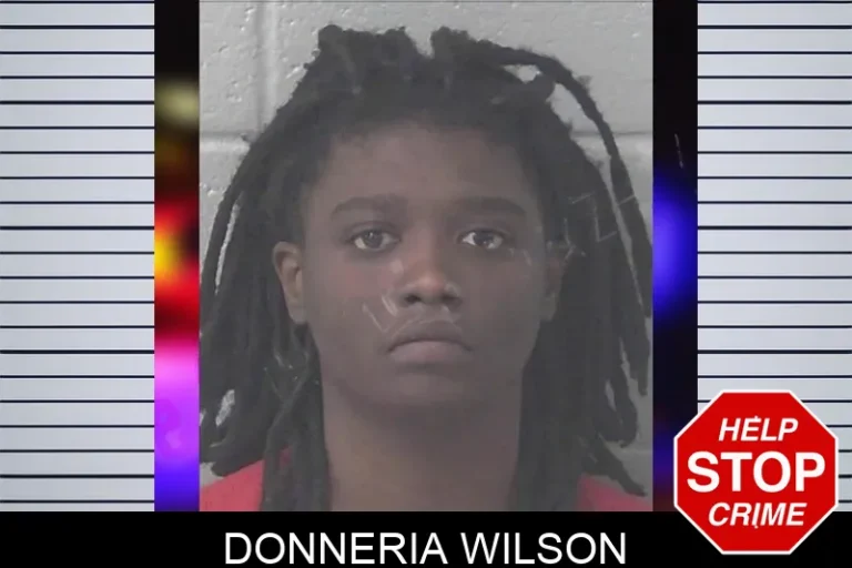 Donneria Wilson mugshot – Newton County , Georgia Donneria Wilson
