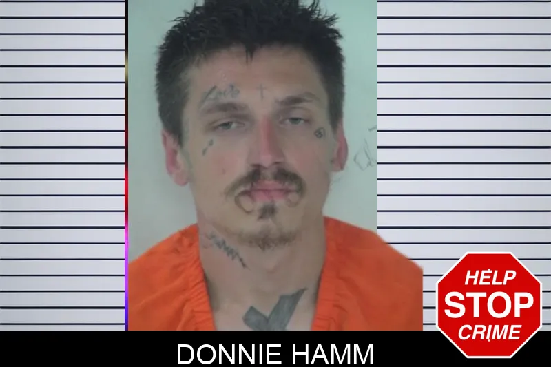 Donnie Hamm mugshot