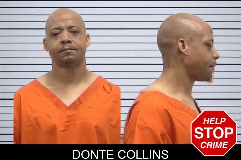 Donte Collins mugshot