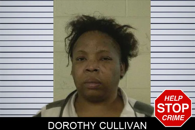 Dorothy Cullivan mugshot – Liberty County , Georgia Dorothy Cullivan mugshot