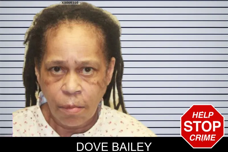 Dove Bailey mugshot – Chatham County , Georgia Dove Bailey mugshot