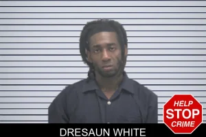 Dresaun White mugshot