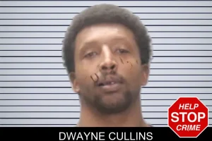 Dwayne Cullins mugshot