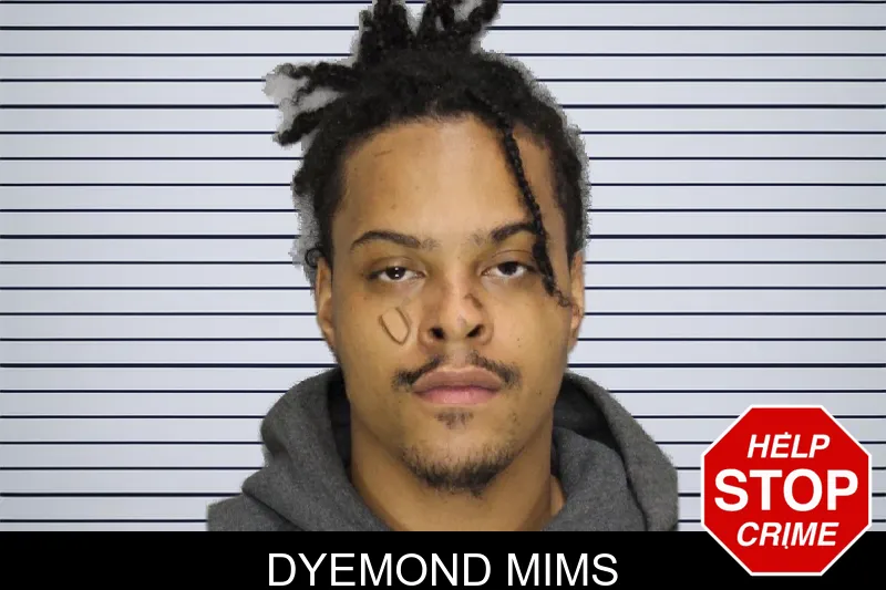 Dyemond Mims mugshot – Cobb County , Georgia Dyemond Mims mugshot