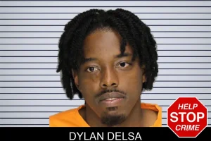 Dylan Delsa mugshot