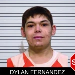 Dylan Fernandez mugshot