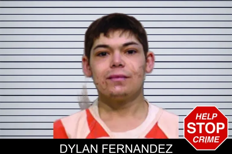 Dylan Fernandez mugshot – Bartow County , Georgia Dylan Fernandez
