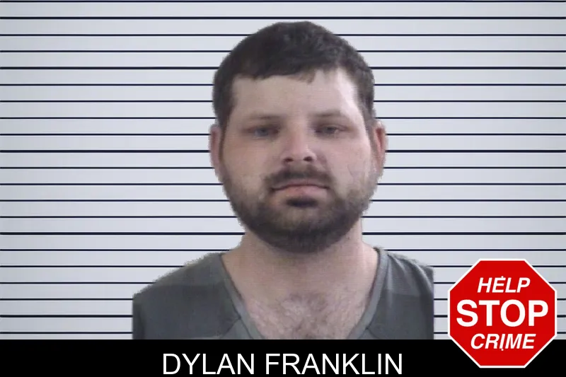 Dylan Franklin mugshot