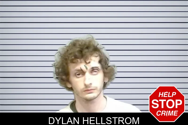 Dylan Hellstrom mugshot – Fulton County , Georgia Dylan Hellstrom mugshot