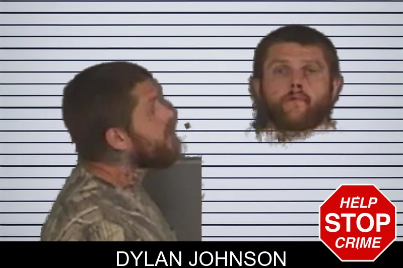 Dylan Johnson mugshot