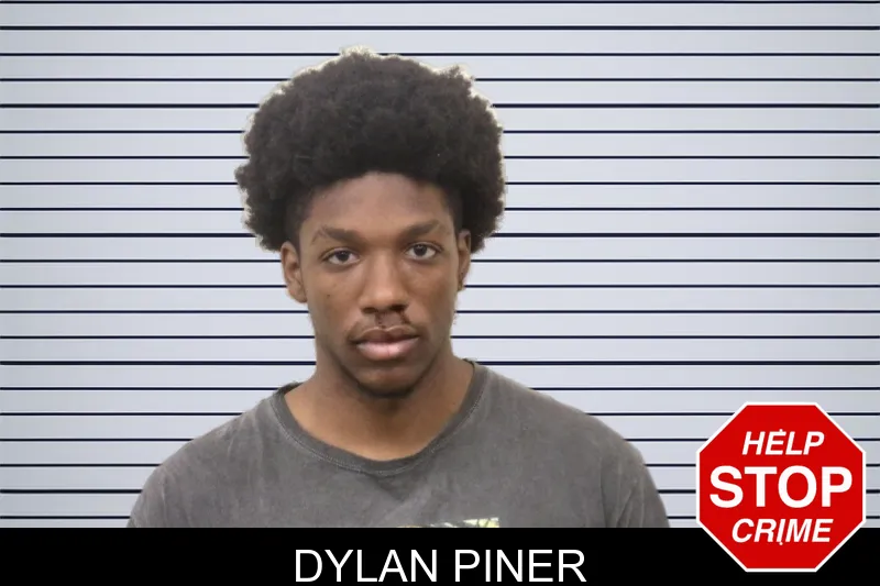 Dylan Piner mugshot