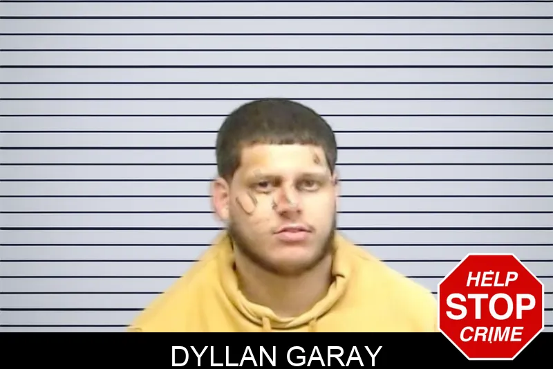 Dyllan Garay mugshot – Fulton County , Georgia Dyllan Garay mugshot