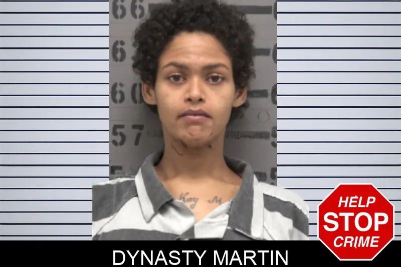 Dynasty Martin mugshot – Dougherty County , Georgia Dynasty Martin mugshot