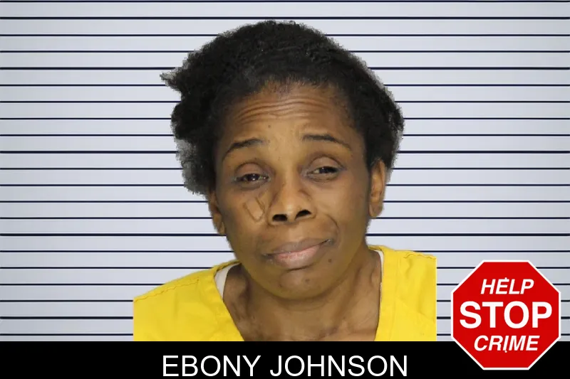 Ebony Johnson mugshot