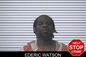 Ederic Watson mugshot