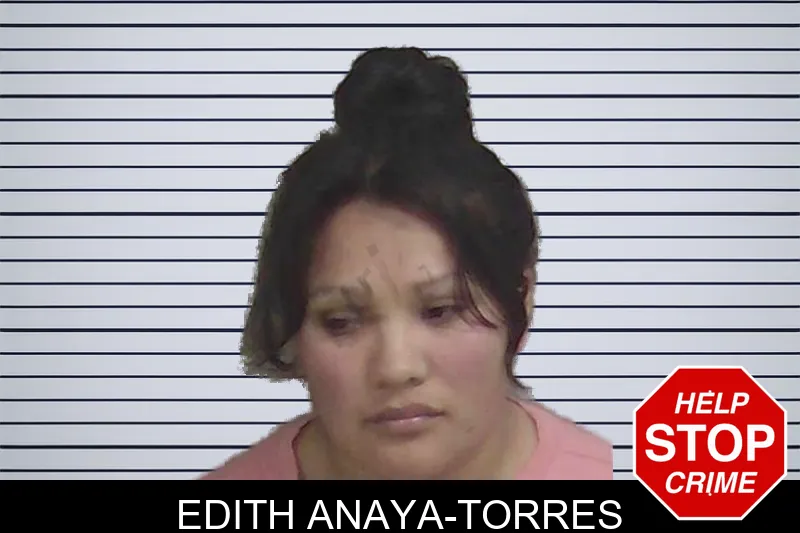 Edith Anaya-Torres mugshot