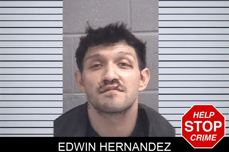 Edwin Hernandez mugshot