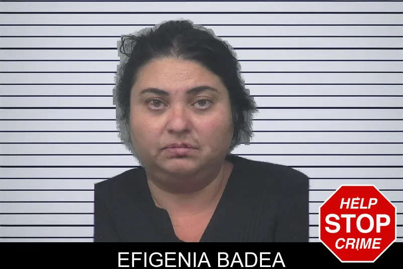 Efigenia Badea mugshot – Gwinnett County , Georgia Efigenia Badea mugshot