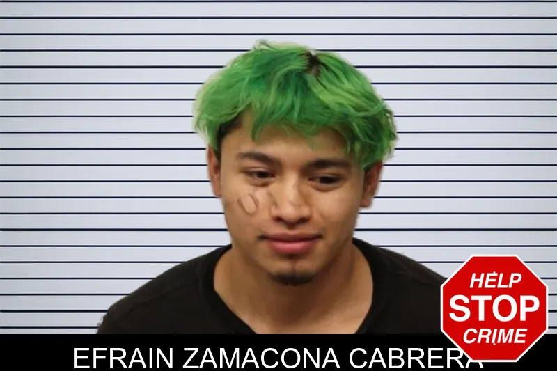 Efrain Zamacona Cabrera mugshot – Chatham County , Georgia Efrain Zamacona Cabrera mugshot