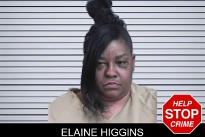 Elaine Higgins mugshot