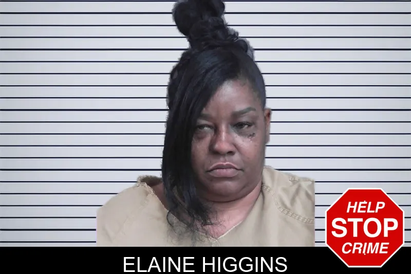 Elaine Higgins mugshot