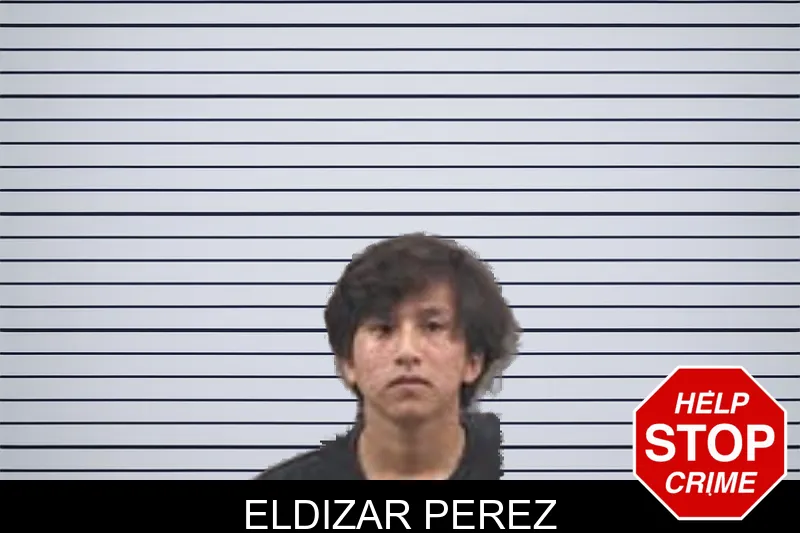 Eldizar Perez mugshot