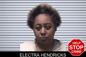 Electra Hendricks mugshot