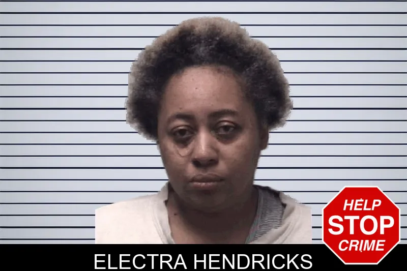 Electra Hendricks mugshot