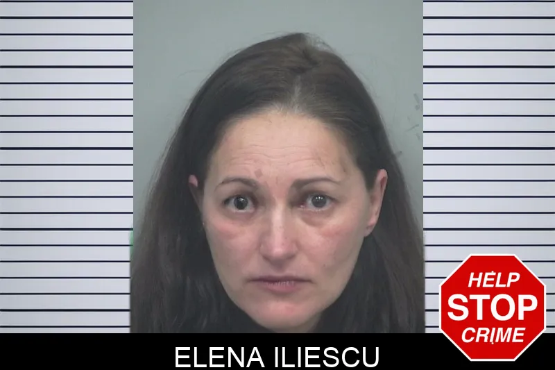 Elena Iliescu mugshot