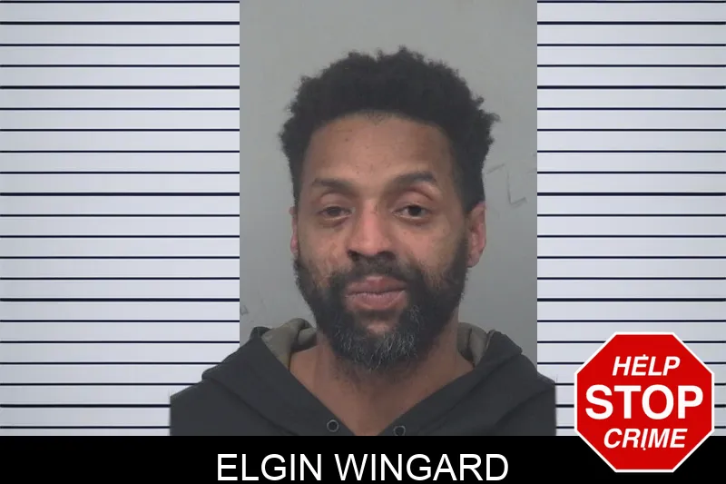 Elgin Wingard mugshot