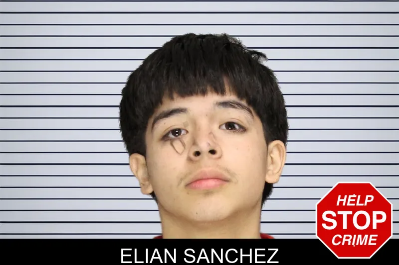 Elian Sanchez mugshot