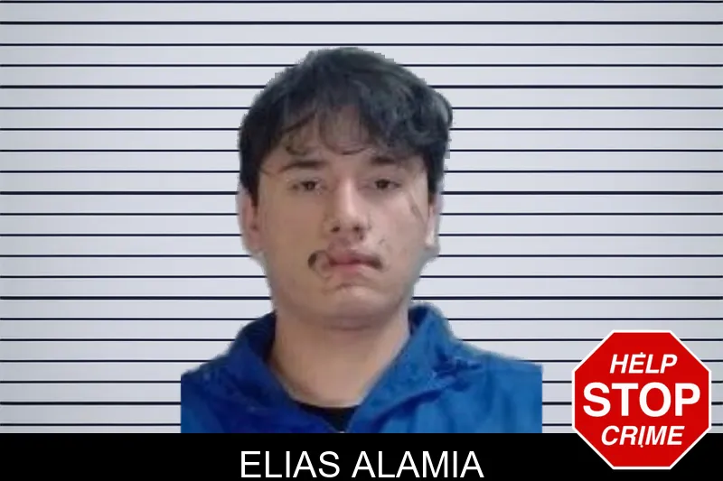 Elias Alamia mugshot