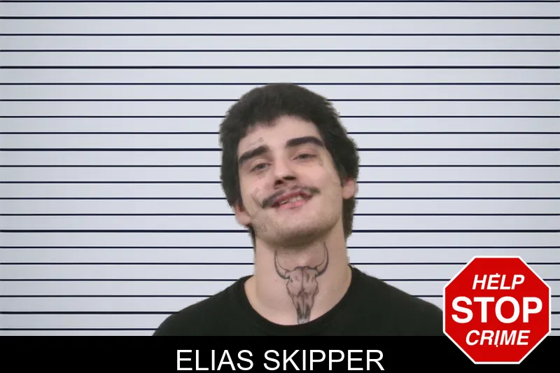 Elias Skipper mugshot – Bulloch County , Georgia Elias Skipper mugshot