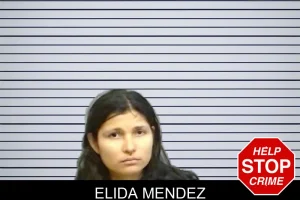 Elida Mendez mugshot