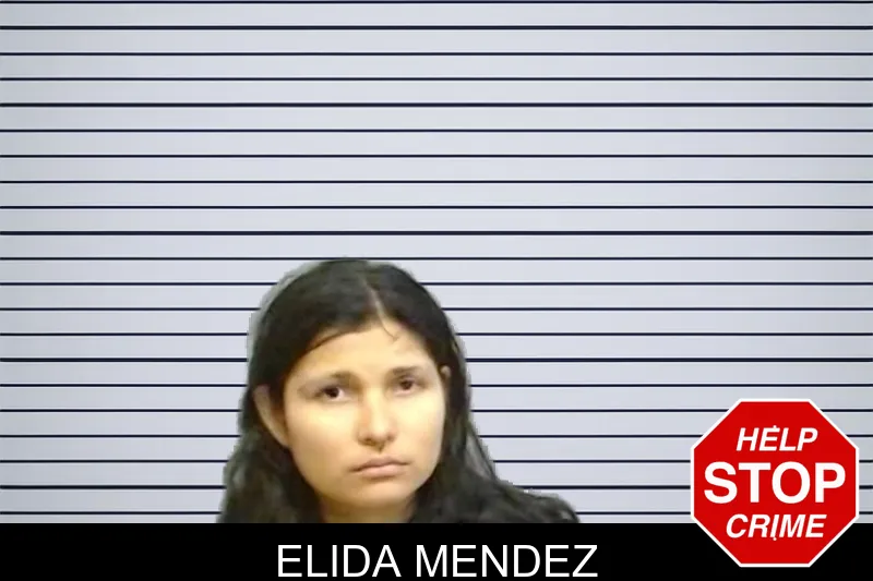 Elida Mendez mugshot
